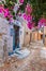 Street view of old town of Rhodes, Greece. Paved roads and pavements with colorful houses and fragrant flowers.