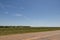 Street view of Rows of newly planted Pecan trees