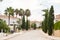 Street with Villas and Cypresses in Protaras