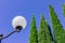 Street vintage lantern on background of blue sky and huge cypresses