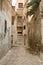 Street with wooden doors and bush in Mahdia. Tunisia.