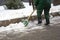 Street worker shovels snow from the sidewalk