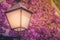 Streetlamp and colorful flowers