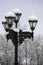 Streetlamp covered with snow