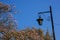 Streetlamp and flowers in Antigua, Guatemala