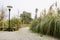 Streetlamp by reedy planked footpath in spring