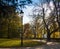 Streetlight and the bench in the park