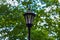 Streetlight in city park against green trees, modern lamp in retro style