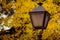 Streetlight on a colorful autumn background