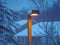 Streetlight in snow storm