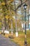 Streetlight, trees and benches in autumn park