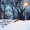 Streetlight and trees in the snowy park