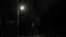 Streetlights illuminate, Nighttime park, Park streetlights