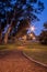 Streetlights illuminated along a winding small dirt path, running through a park filled with trees, Cape Town