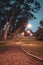 Streetlights illuminated along a winding small dirt path, running through a park filled with trees, Cape Town