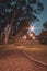 Streetlights illuminated along a winding small dirt path, running through a park filled with trees, Cape Town