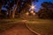 Streetlights illuminated along a winding small dirt path, running through a park filled with trees, Cape Town