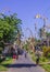 Streets in Bali with Penjor Poles for the Galungan Celebration