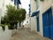 Streets, doors and buildings close to the center of Sidi Bou Said, the famous village with traditional Tunisian