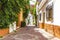 Streets of Marbella in Spain with flowers and plants on the faca