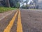 the streets are quiet, in a city park housing, it can be seen with yellow lines accompanied by shady trees