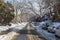 Streets of Toronto in the Winter