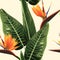 Strelitzia bird of paradise exotic tropical bright orange flowers and green leaves. Realistic watercolor illustration.