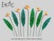 Strelitzia Reginae flower vector illustration collection on transparency grid. Green leaves, yellow blossom