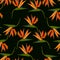 Strelitzia seamless pattern. Art design stock vector colorful tropical background from orange flowers on black