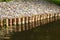 Strengthening the shore of the reservoir with wooden piles made of Larch