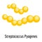 Streptococcus pyogenes icon, cartoon style.