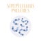 Streptococcus Pyogenes, pathogen. Spherical, gram-positive bacteria. Morphology. Microbiology