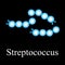 Streptococcus structure. Bacteria streptococcus. Infographics. Vector illustration on isolated background.