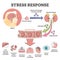 Stress response anatomical scheme with body inner reaction outline concept