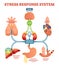 Stress response system vector illustration diagram, nerve impulses scheme.