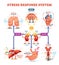 Stress response system vector illustration diagram, nerve impulses scheme.