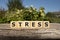 Stress - words from wooden blocks with letters, feel worried and nervous stress concept