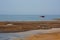 Stretch of the Apulian coast with posidonia algae and seagulls and fishermen`s boats in the background