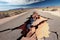 Stretch asphalt road that has been severely damaged by an earthquake. The surface of the road is covered in large cracks