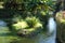 Stretch of river and small island located in the meadow in front of the castle of Strassoldo Friuli (Italy)