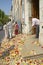 Strewn rose petals from wedding party, Antibes, France