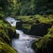 The Strid on River Wharfe in Yorkshire