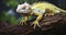 The Striking Appearance of an Albino Iguana on a Wooden Perch