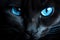 Striking Black cat blue eyes. Generate Ai