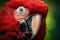 A striking, close-up image of a vibrant red parrot set against a contrasting green background, green winged macaw, AI Generated