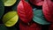 A striking close-up of leaves transitioning through a gradient of green to fiery autumn red, depicting the beauty of seasonal chan