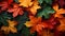 A striking close-up of leaves transitioning through a gradient of green to fiery autumn red, depicting the beauty of seasonal chan