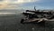 Striking and evocative image of driftwood on a beach. The driftwood is made up of a variety of pieces, including branches, logs,