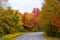 Striking fall foliage on the road near Wellesley Island State Park, New York,U.S.A