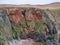 Striking mixes of different grey and red rock types in the coastal cliffs on the Ness of Hillswick in Northmavine, Shetland